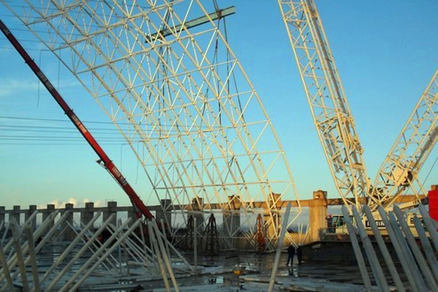 樟树专业的技术